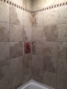 Accent Tile Mural Shower